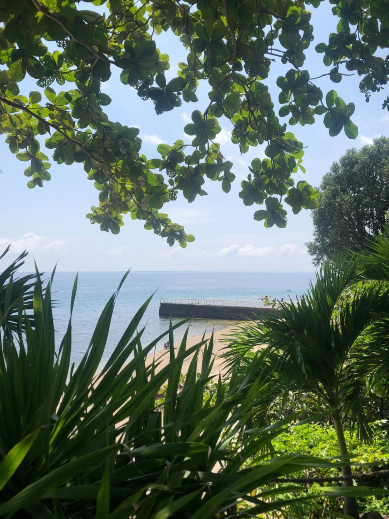 Wuthering Heights Bed & Breakfast By The Sea Dumaguete City Exteriér fotografie